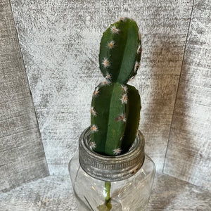 Stem - Cactus