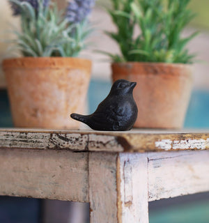 Mini Critter - Brid