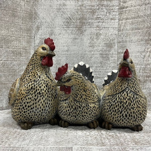 Rooster - Trio