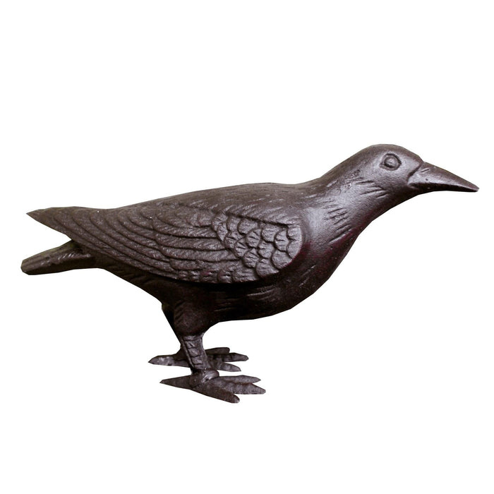 Crow - Head Up